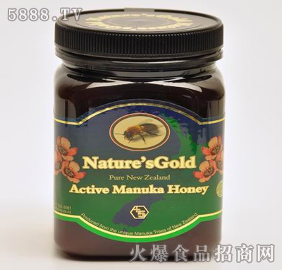 ¬NZ Active 5+ Manuka(500g)