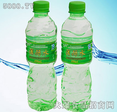 瓶装薄荷水550ml