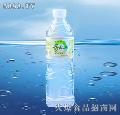 ɽɽȪˮ600ML