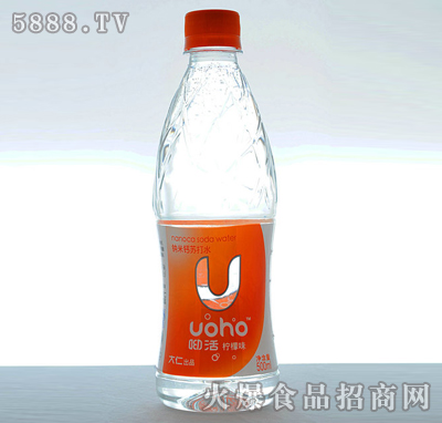 ϻմˮ500ml