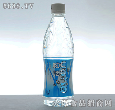 ϻˮ500ml