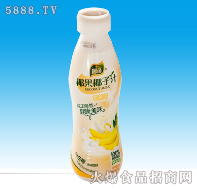 银树椰子汁饮料250ml|中山市回力食品饮料有限