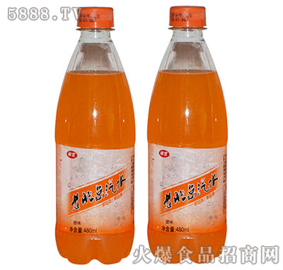 体宝老北京汽水橙子味480ml|漯河市体宝饮品有限公司-火爆食品饮料