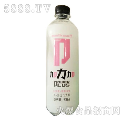 Ӹ+пˮ+ζ500ml