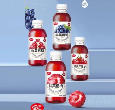 ǑϹ֭500ml