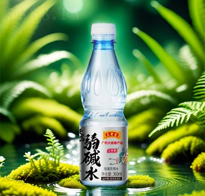 ϼԴˮ360ML