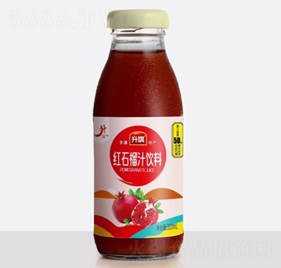 ʯ֭310ml