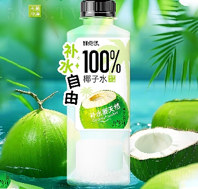 ʵҬˮ500ml