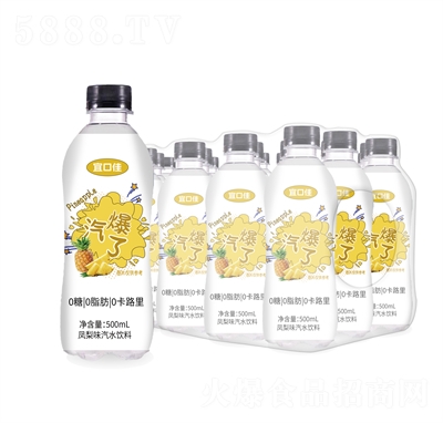 ˿ڼѷζˮ500mL