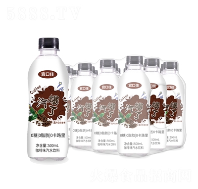 ˿ڼѿζˮ500mL