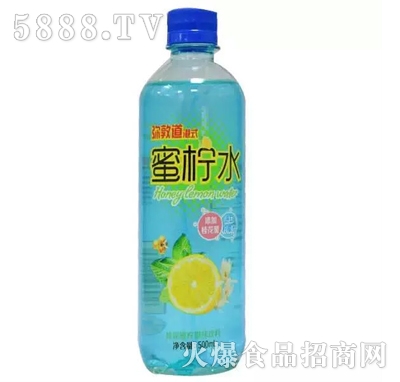 ֶصʽˮ-500ml